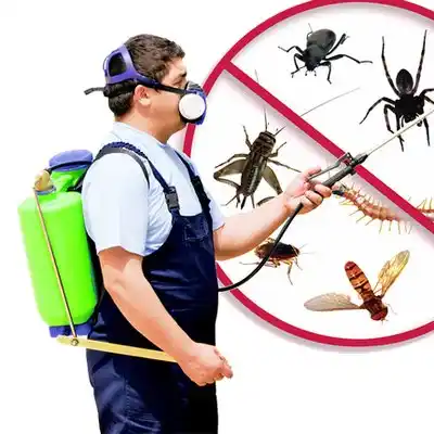 pest control Buckeye Lake